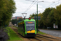 Tramino S105P #517