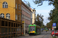 Tramino S105P #516